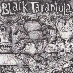 Black Tarantula