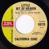 California Suns - Masked Grandma   (7") - Image 2