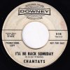 The Chantays - Beyond   (7") - Image 2