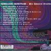 Bamboogie Injections - Wild Dandelion Stomping   (CD) - Image 2