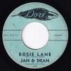 Jan & Dean - We Go Together   (7") - Image 2