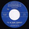 The Chantays - Beyond   (7") - Image 2