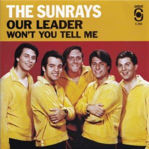 The Sunrays - Our Leader   (7")