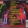 The Tiki Tiki Bamboooos - Tiki Tiki Bamboooos   (CD) - Image 2