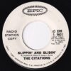 The Citations - Moon Race   (7") - Image 2