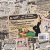 Evy & The Assholes - Curse of the Assholes   (7") - Image 2