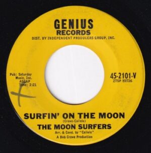 The Moon Surfers - Surfin' on the Moon   (7")